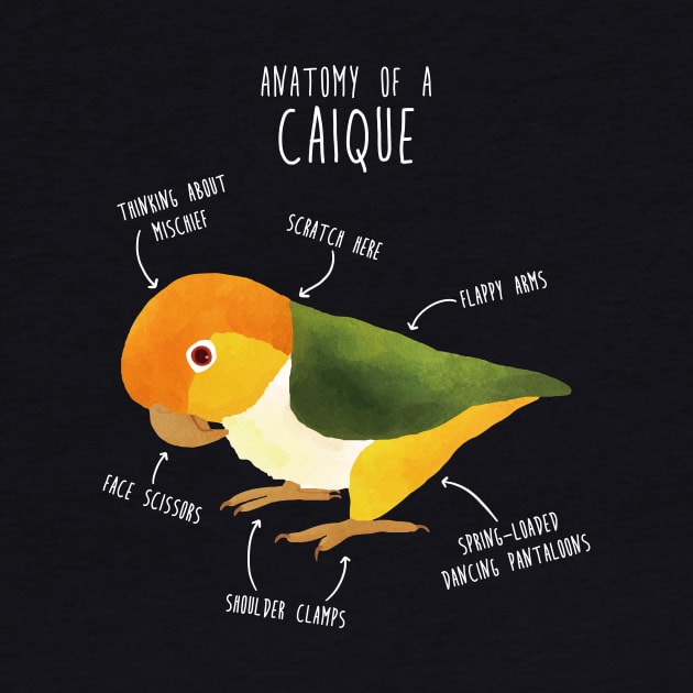 Anatomy of a White-Bellied Caique by Psitta